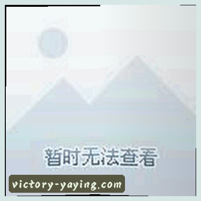 郑涛